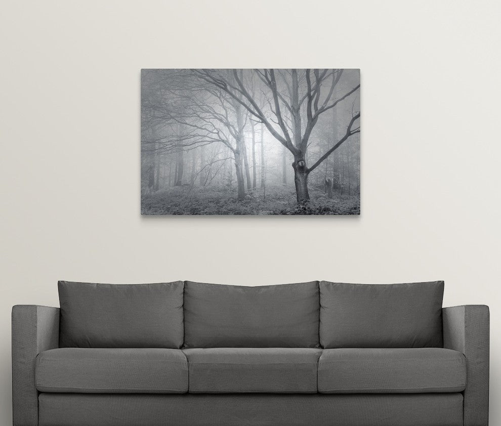 "Backwoods Mist" Wrapped Canvas Art Print, 48"x32"x1.5"