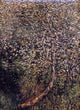 Claude Oscar Monet Apple Trees in Blossom by the Water Wall Decal