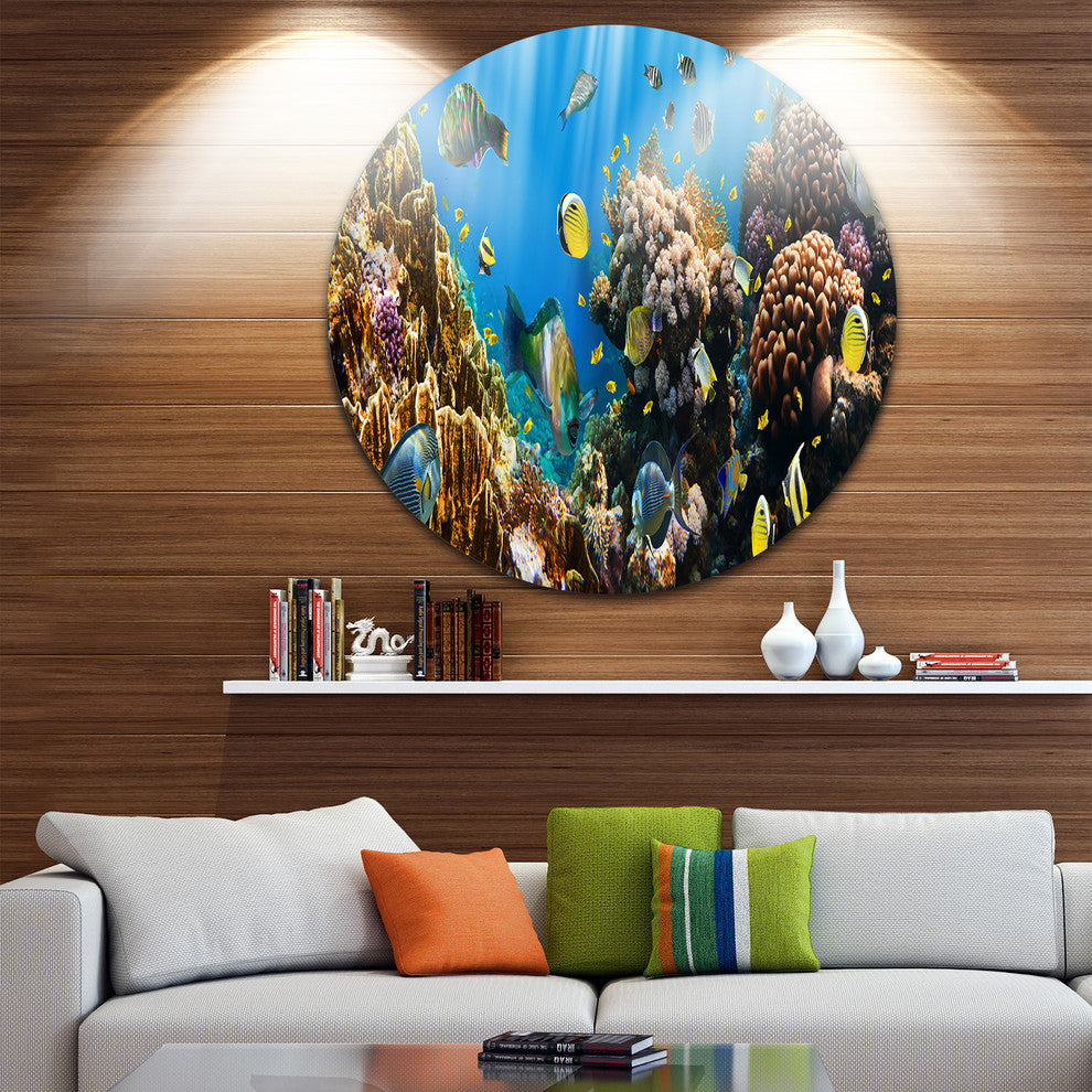 Coral Colony Panorama, Photography Round Metal Wall Art, 11"