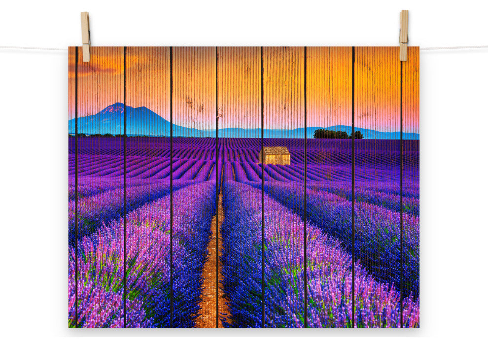 Faux Wood Lavender Fields and Sunset Landscape Unframed Wall Art Prints, 16" X 20"
