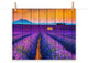 Faux Wood Lavender Fields and Sunset Landscape Unframed Wall Art Prints, 16" X 20"