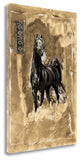 "Quick Silver" By Marta G. Wiley, Giclee Print on Gallery Wrap Canvas