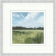 Max Sky 4, Giclee Reproduction Artwork
