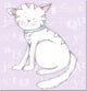 Kitty Kitty Lavender