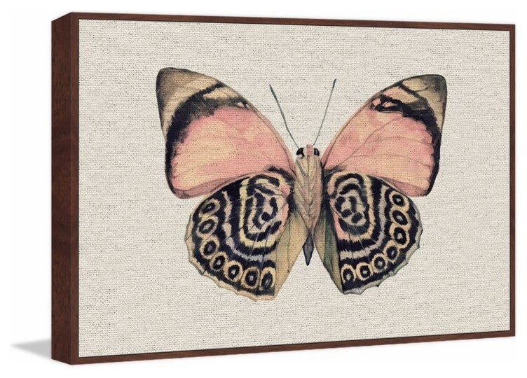 "Artsy Pink and Black Wings II" Floater Framed Painting Print, Canvas, 36"x24"