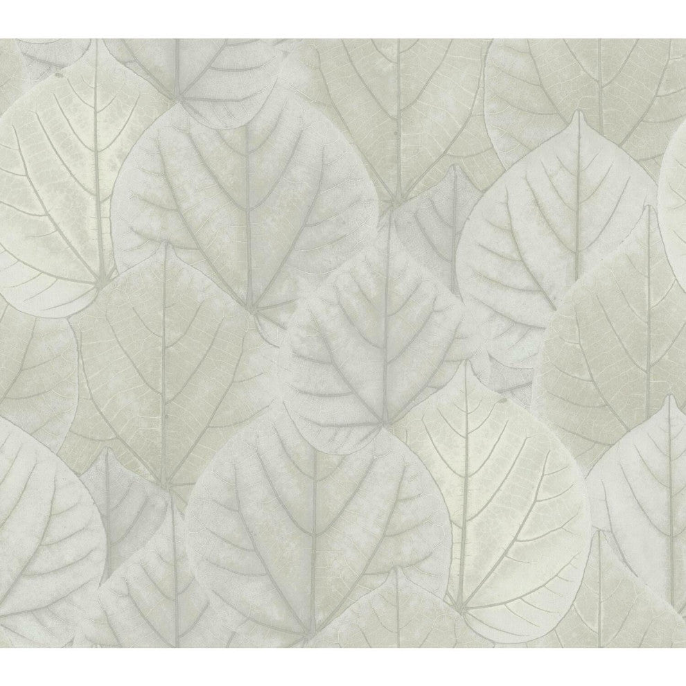 Leaf Concerto Wallpaper