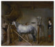 "Horse Stable" Digital Paper Print by Gerard ter Borch, 46"x39"