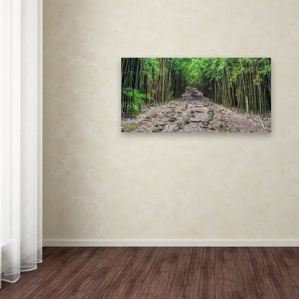 Pierre Leclerc 'Maui Bamboo Forest' Canvas Art, 19x10