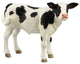 Holstein Bull Statue