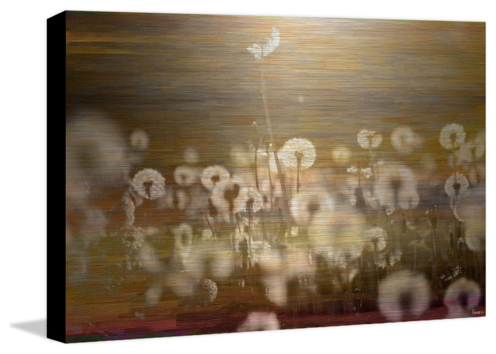 "Field" UV Ink Print on Brushed  Aluminum, 36"x24"