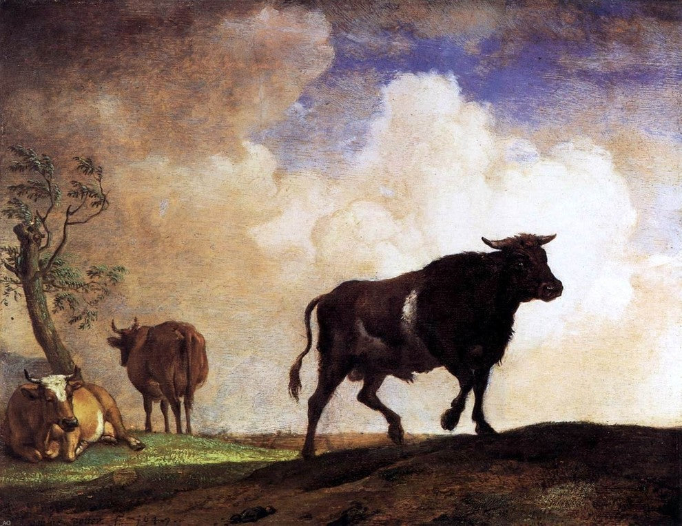 Paulus Potter The Bull - 21" x 28" Premium Canvas Print