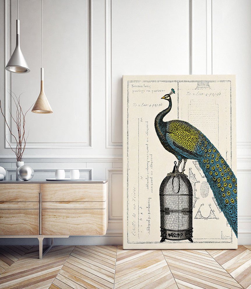 "Peacock Birdcage II" Museum Mounted Canvas Print, 24"x32"