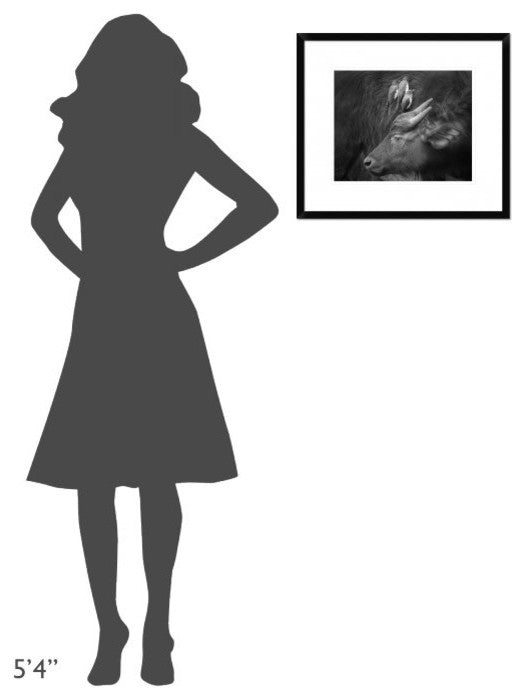 "Three Is A Crowd!" Framed Digital Print by Ali Khataw, 22x19"