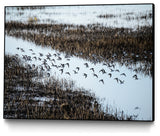 "Flock" Art block Framed Canvas, 32"x24"