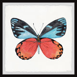"Symmetrical Wings" Framed Painting Print, 18x18
