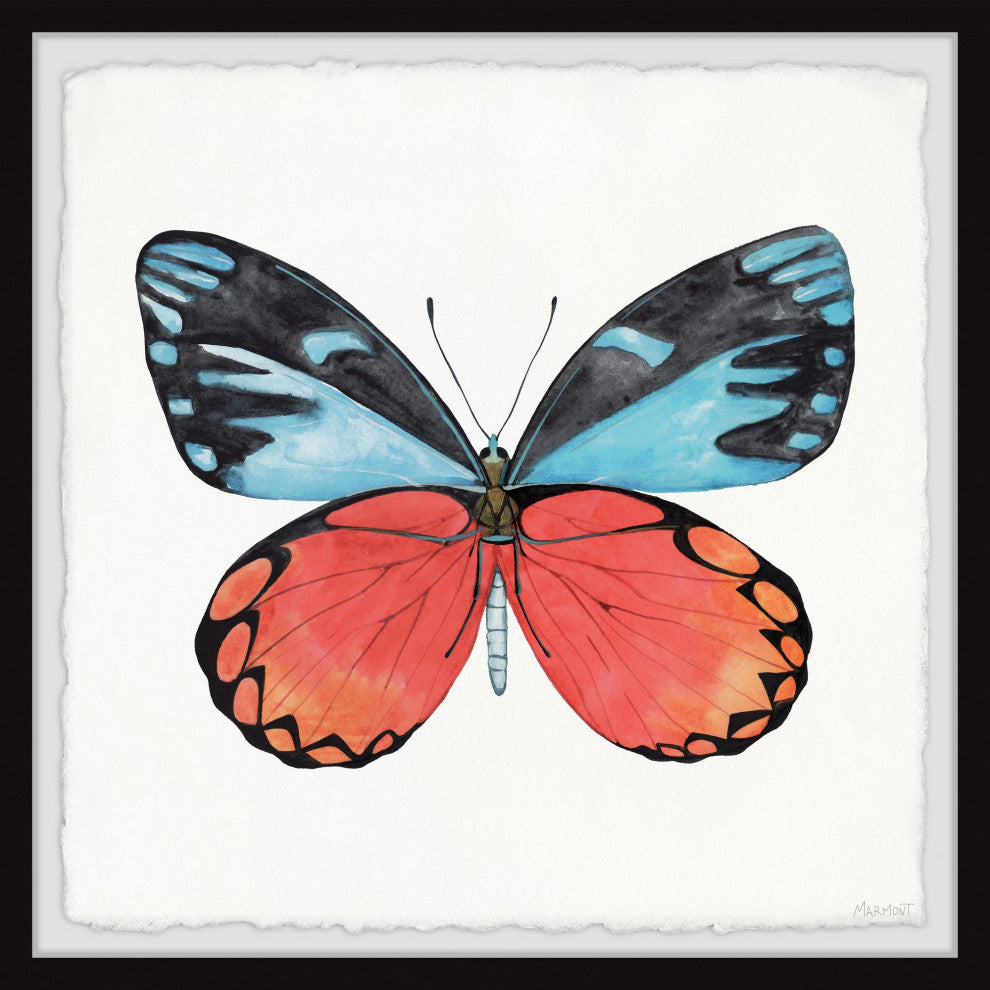 "Symmetrical Wings" Framed Painting Print, 18x18