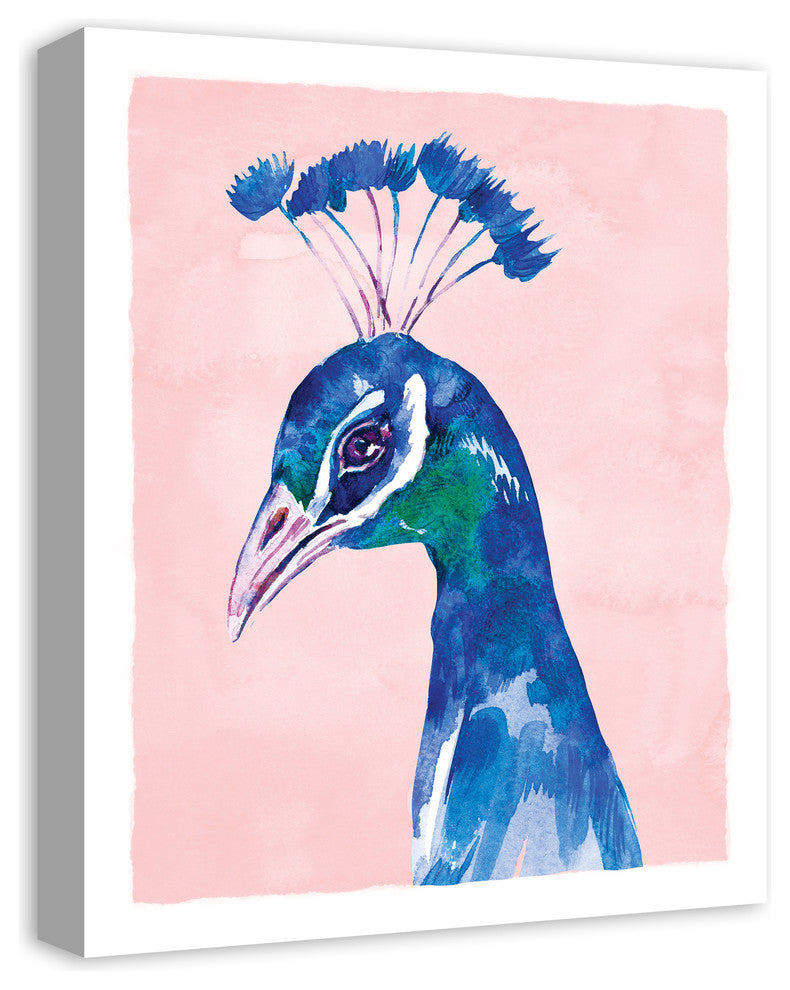 Peacock on Pink Background 16x20 Canvas Wall Art