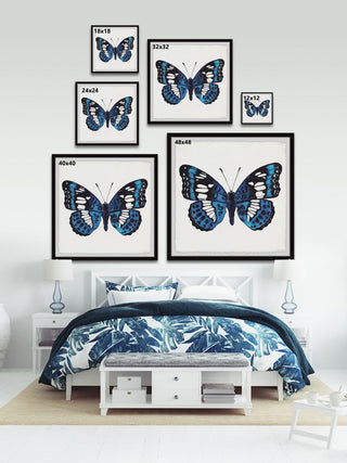 "Dazzling Wings" Framed Painting Print, 12x12