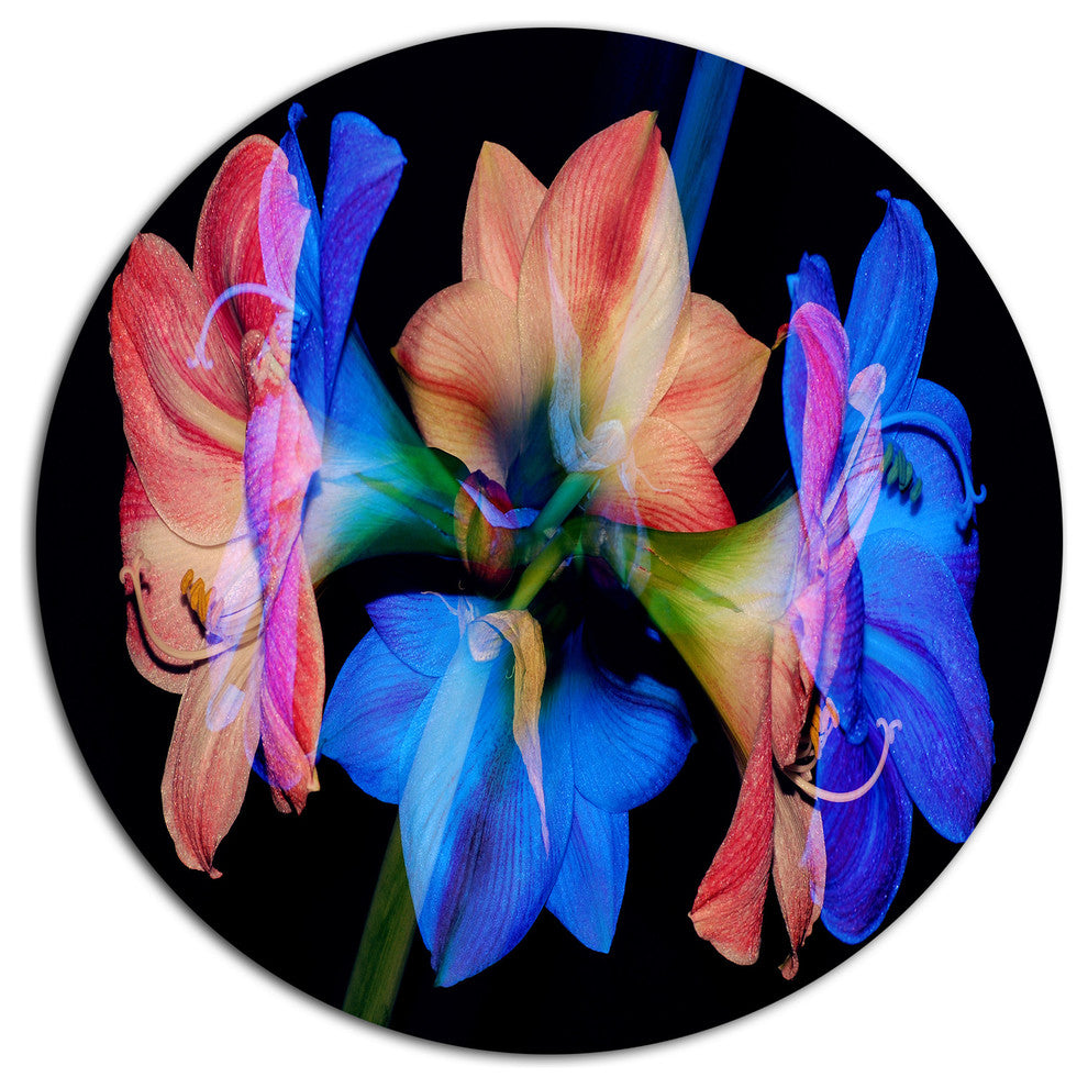 Abstract Blue Red Flower On Black, Floral Disc Metal Wall Art, 38"