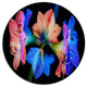 Abstract Blue Red Flower On Black, Floral Disc Metal Wall Art, 38"