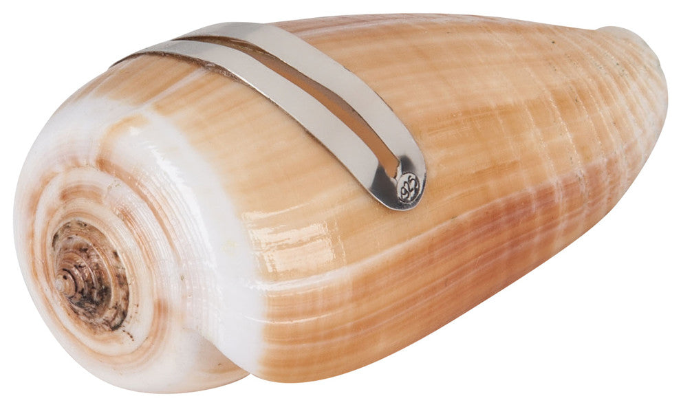 Conus Magnus Shell Place Card Holder With Sterling Silver