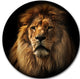 Lion Portrait With Rich Mane, Animal Digital Art Disc Metal Art, 38"