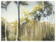 "Aspen Reverie" Digital Paper Print by Julia Purinton, 34"x26"