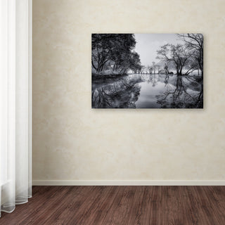 Tiger Seo 'Healing Spot' Canvas Art, 47x30