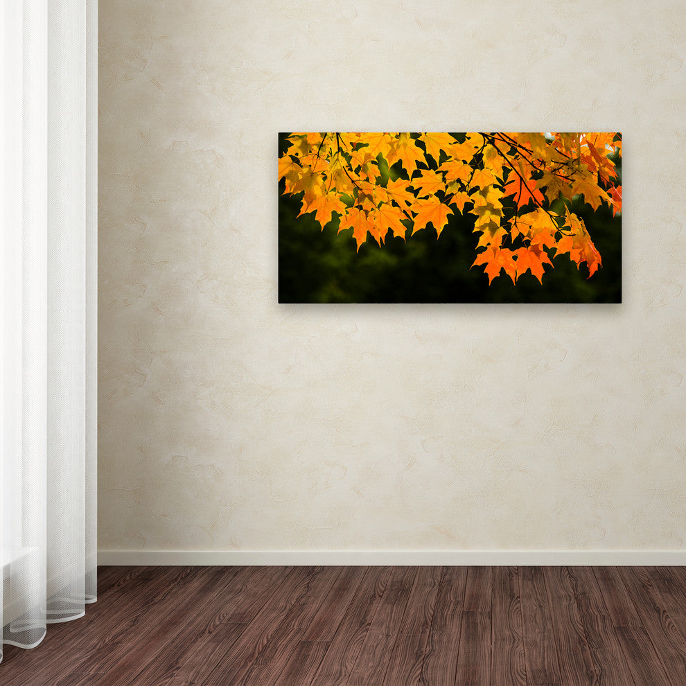 Kurt Shaffer 'October Maple' Canvas Art
