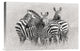 "Zebras" Stretched Canvas Giclee by Kirill Trubitsyn, 18x12"