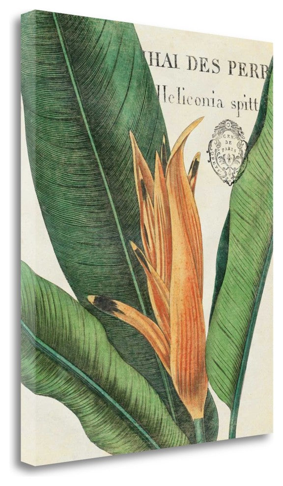 "Botanique Tropicale II" By Wild Apple Portfolio, Giclee on Gallery Wrap Canvas