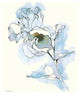 "Carols Roses IV Blue" Digital Paper Print by Shirley Novak, 30"x37"