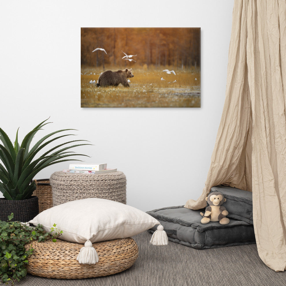 Brown Bear Crossing Marshlands Wildlife Landscape Photo Canvas Wall Art Print, 24" X 36"