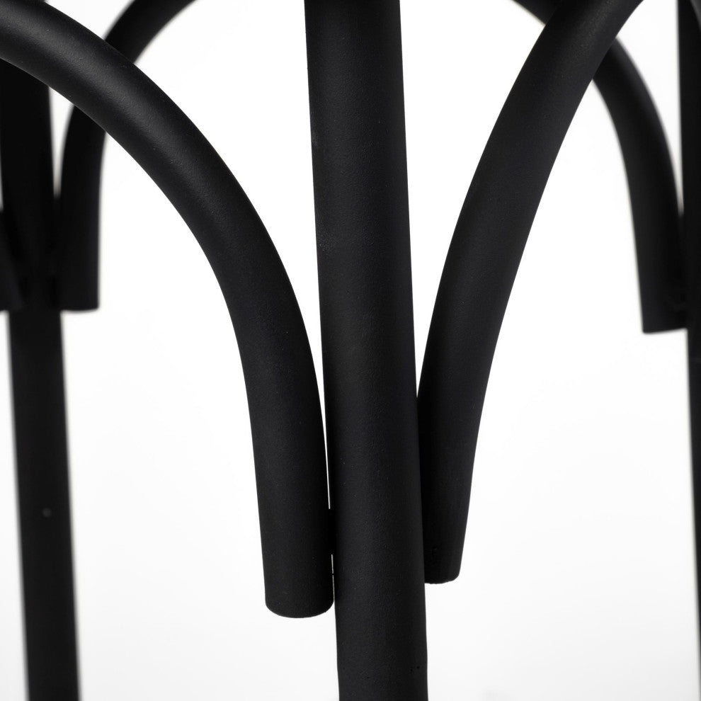 Etienne Black Solid Wood Seat With Black Iron Frame Dining Chair (Set of 2)
