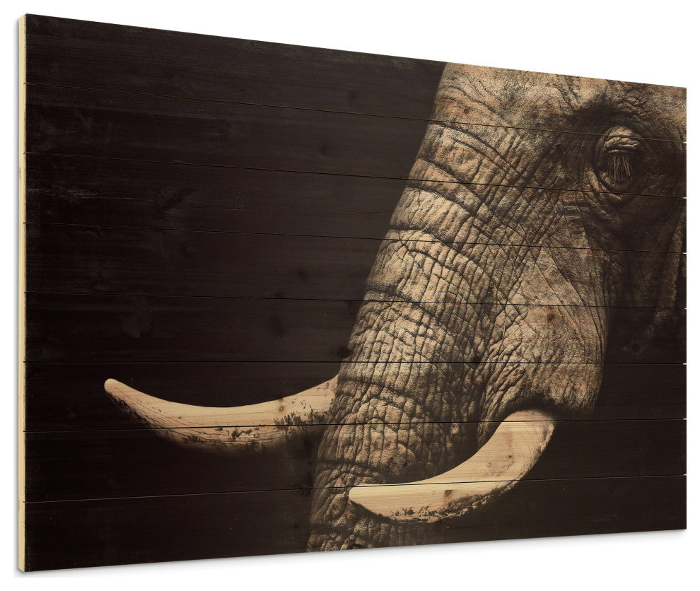 "Elephant" Wall Art Giclee Printed On Solid Fir Wood Planks