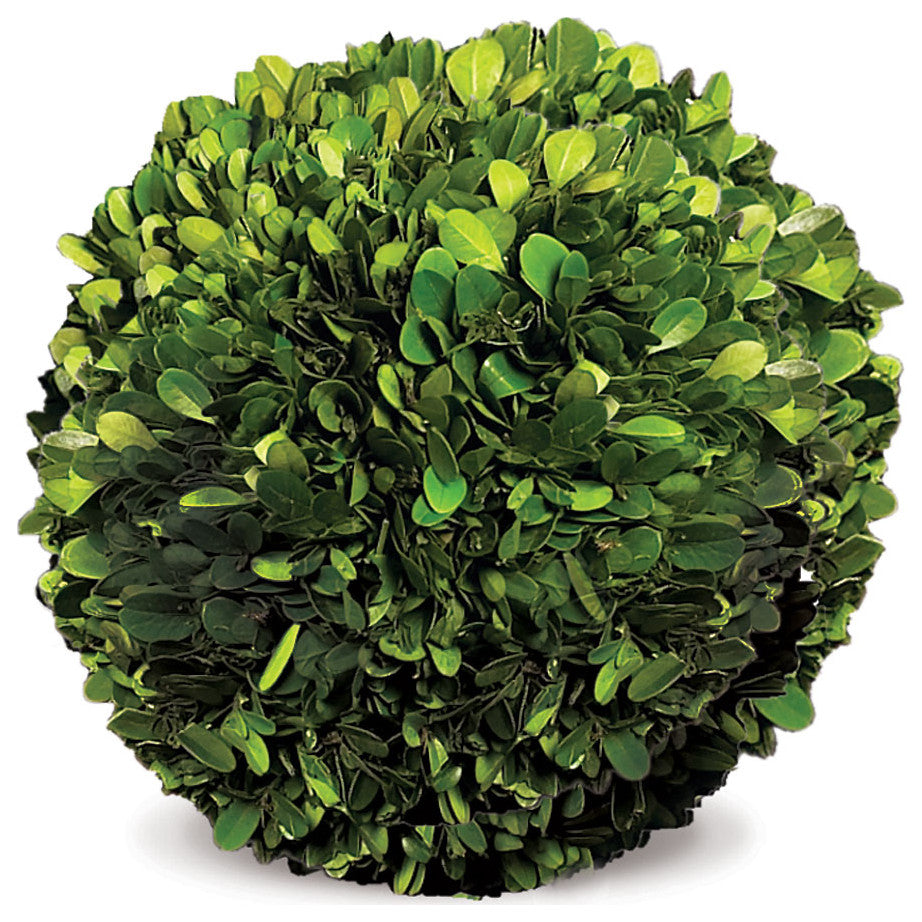 Boxwood Ball 8"