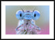 "Damigella" Framed Digital Print by Ghizzi Panizza Alberto, 38"x28"