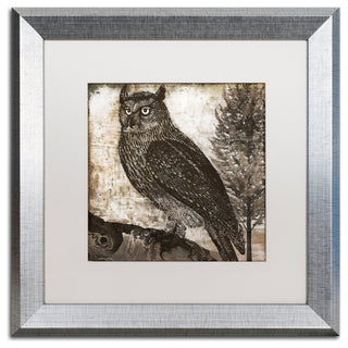 Color Bakery 'Owl 2' Art, Silver Frame, White Matte, 16"x16"