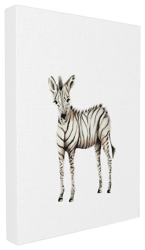 "Baby Zebra" 30x40, XXL Stretched Canvas Wall Art