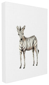 "Baby Zebra" 30x40, XXL Stretched Canvas Wall Art