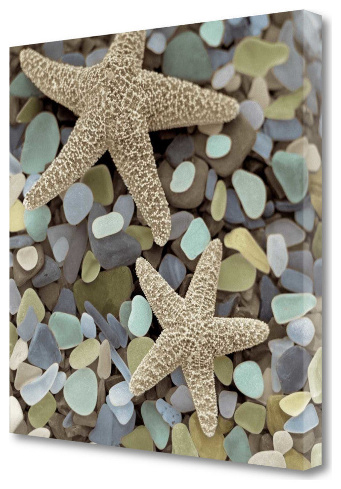 11" Two Starfish and Seaglass 2 Giclee Wrap Canvas Wall Art