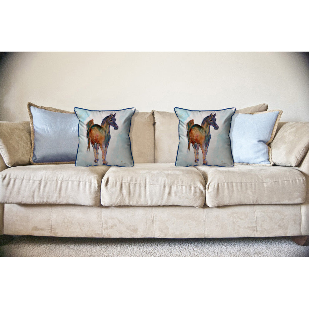 Colt Large Indoor/Outdoor Pillow 18x18