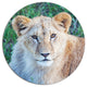 Lion Relaxing In Forest, African Round Wall Art, 11"