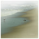 "Seabirds" Digital Paper Print by Sue Schlabach, 20"x20"