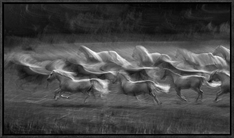 "Stampedo" Framed Canvas Giclee by Milan Malovrh, 23x14"