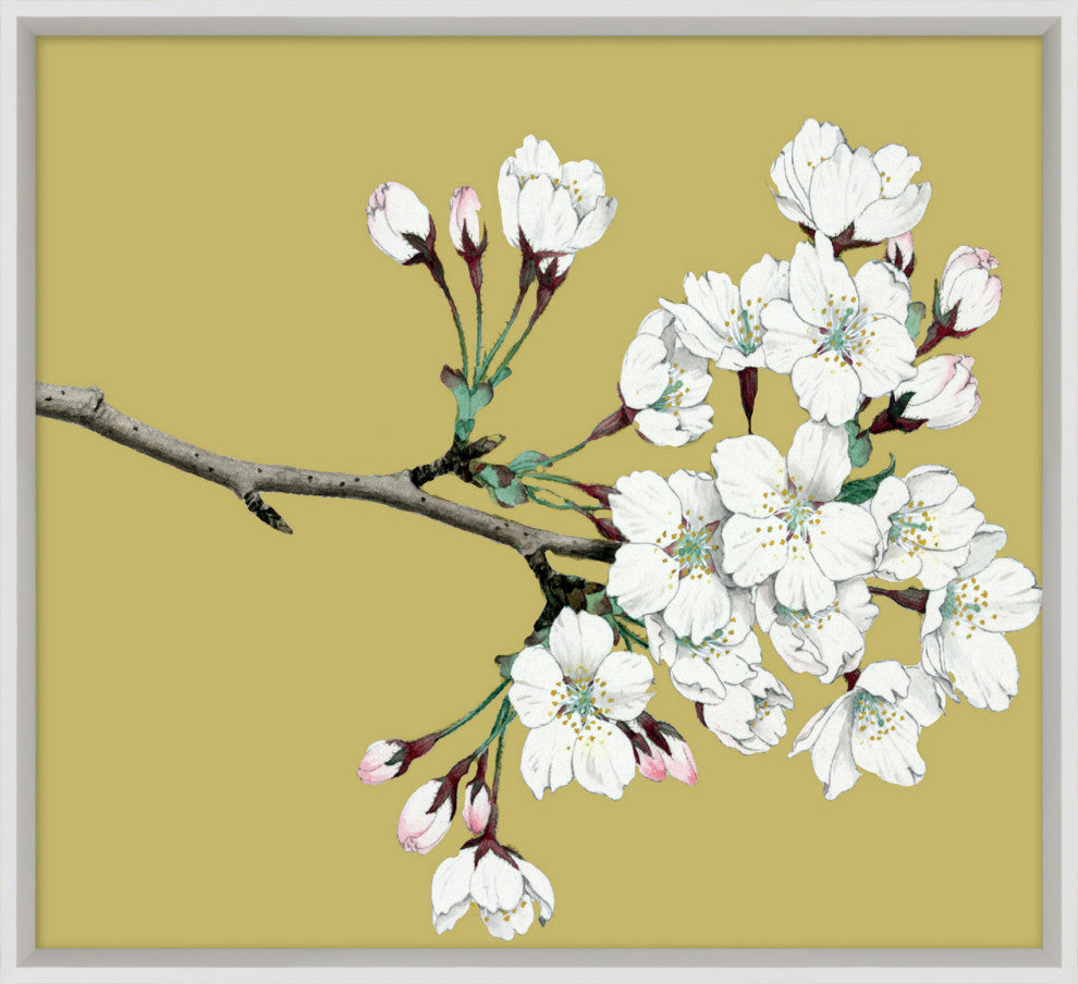 Goldenrod Blossom 7, Giclee Reproduction Artwork