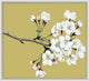 Goldenrod Blossom 7, Giclee Reproduction Artwork