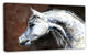 Gray Arabian Horse Watercolor, Abstract Canvas Art Print, 32"x16"
