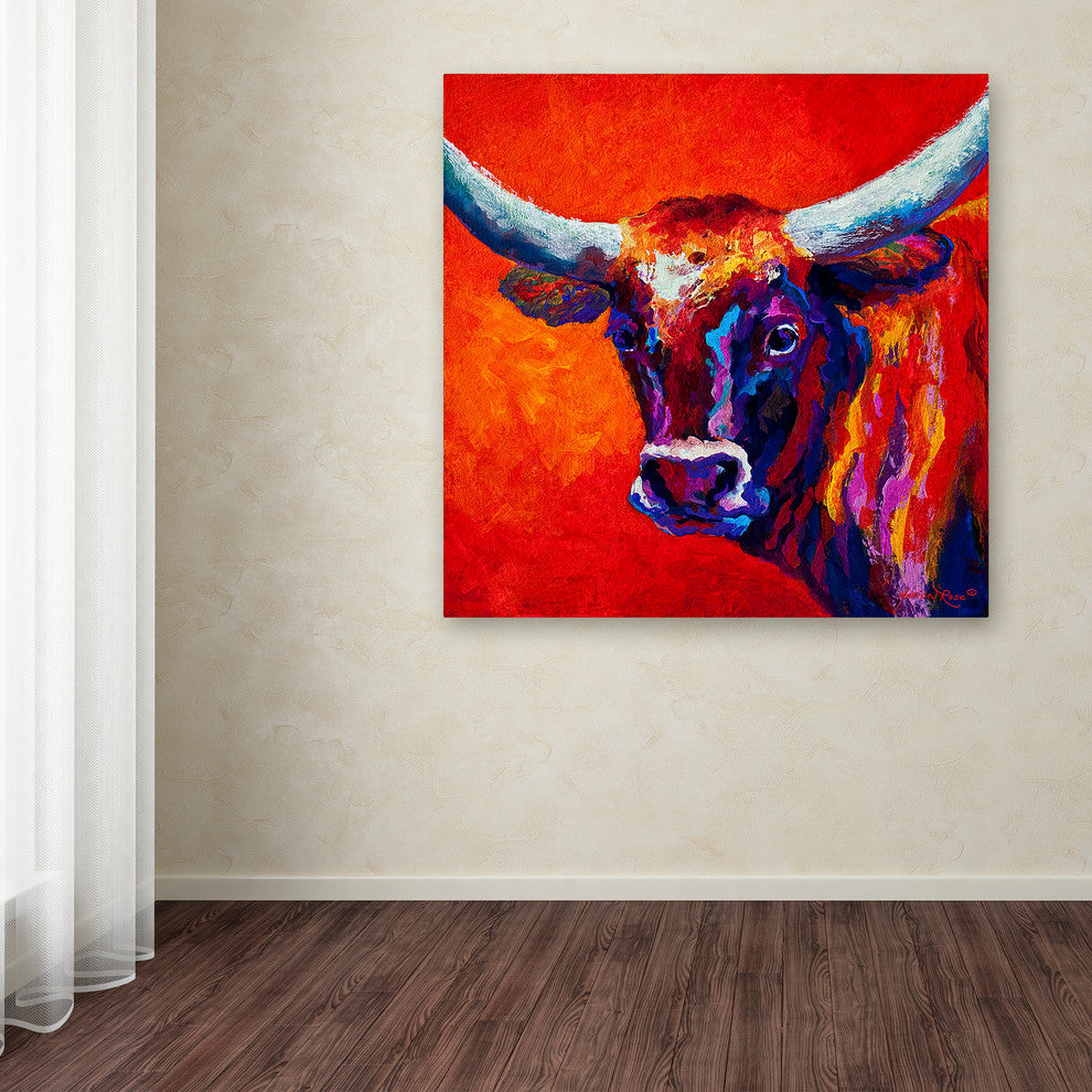 Marion Rose 'Steer' Canvas Art, 24" x 24"