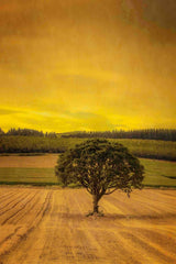 "Lone Tree at Sunset" Painting Print on Canvas